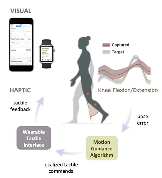 Graphic highlighting precision rehabilitation research