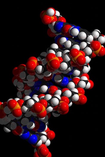 image of DNA