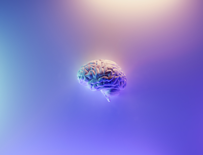 an artistic image of a human brain 