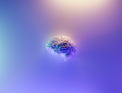 an artistic image of a human brain