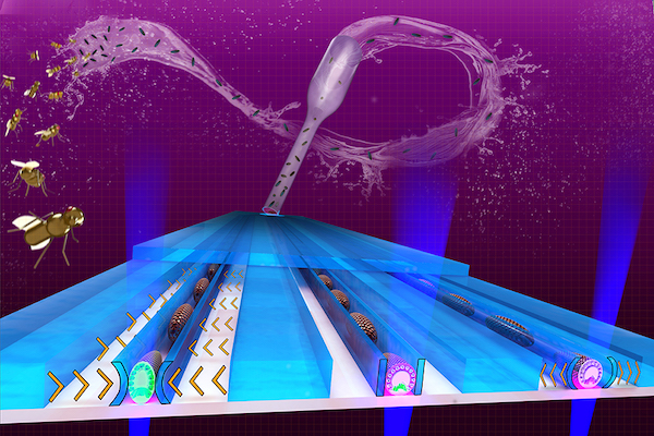 Image of horizontal chambers where micro fluids flow.