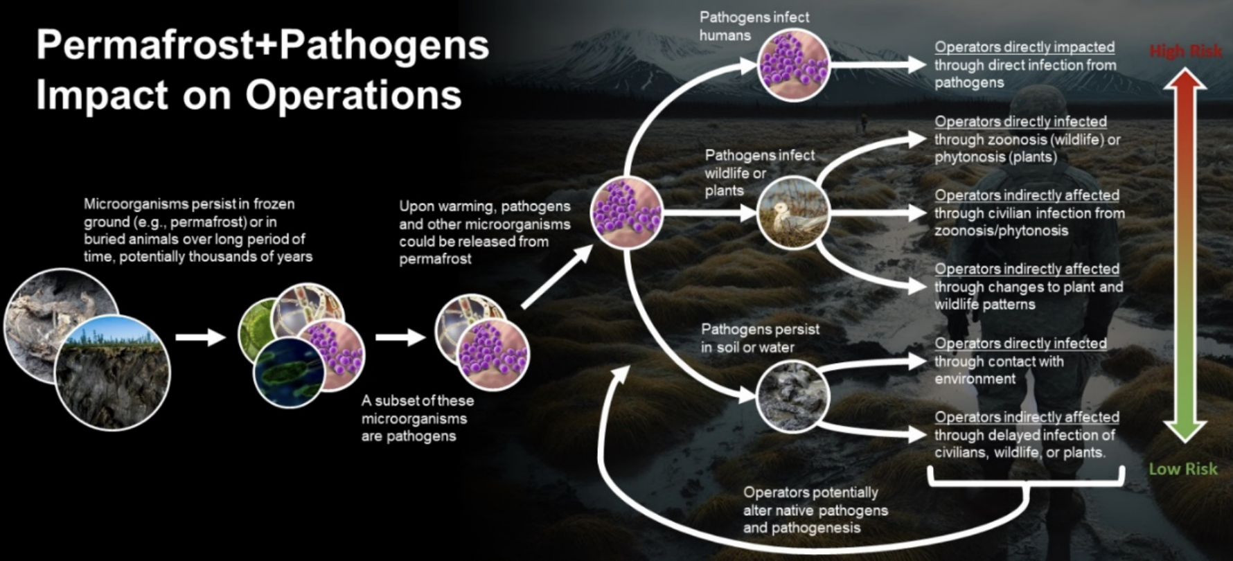pathogen and permafrost impact on environment
