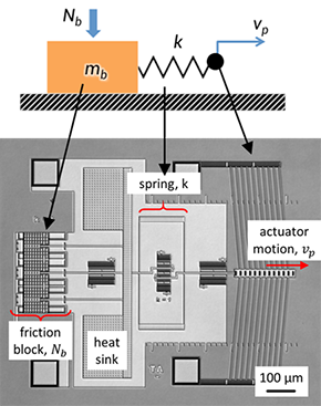 de Boer research image