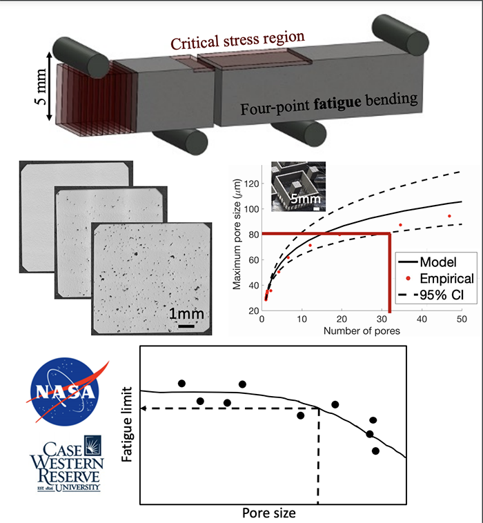 Graphic comparing the prediction versus experimental results of the study