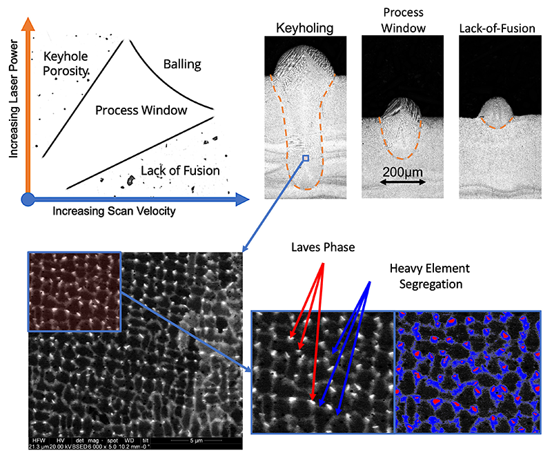 magnified image showing laves phase