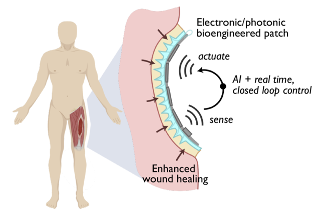 bioelectronics illustration
