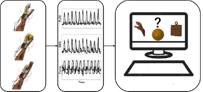 illustration of sensing for hand-grasp