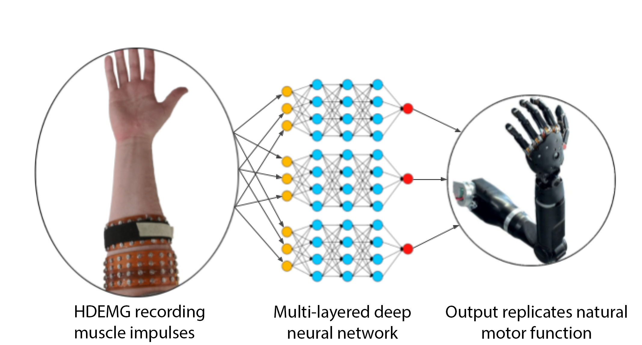 schematic of how HDEMG decoding works