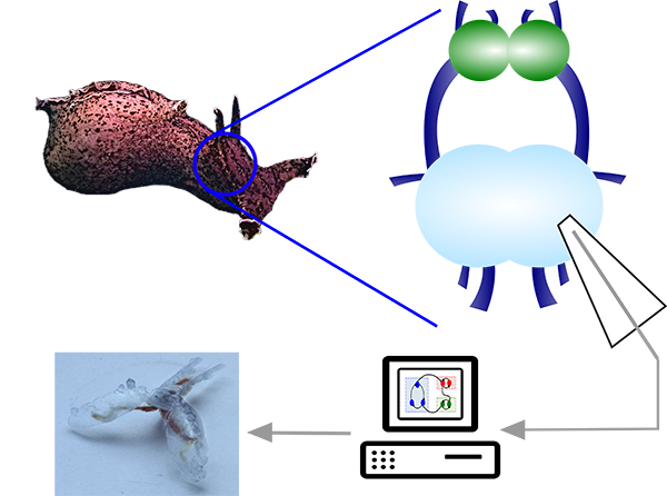 illustration of how organic controllers work